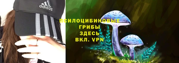 дмт Балахна