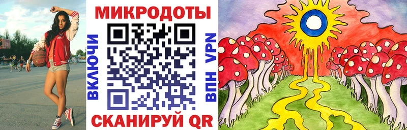 Галлюциногенные грибы Cubensis  как найти   Маркс 